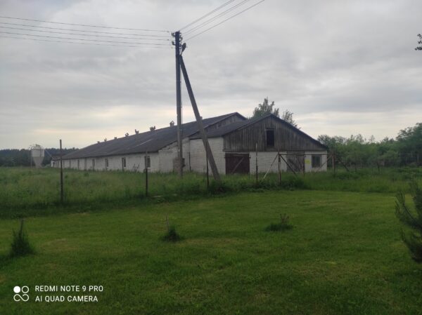Paukščių ferma Kaišiadorių r. - Image 2